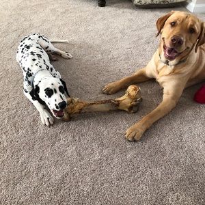 Meet your Posher, Drew